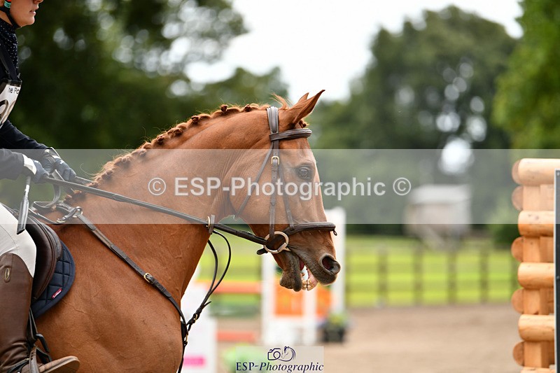 240825X-172129-37018 - 80cm SJ 16.00 to 17.26