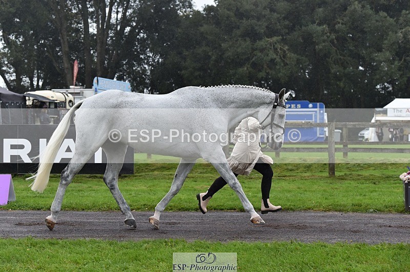 231018-120016-00033 - 003-BOB.CHAPLIN-Kate.Walls-TrotUp