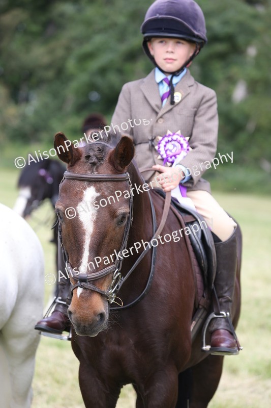 20260614-0841 - Class 20 - Beginners Working Hunter Pony