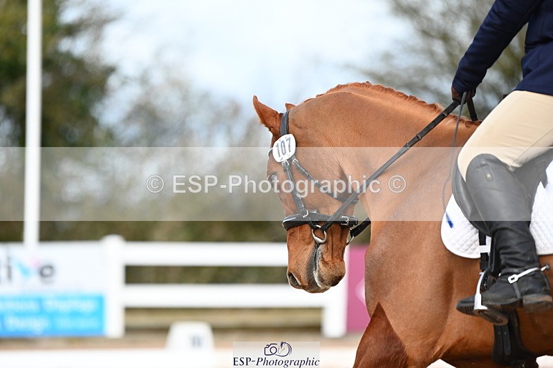 240323A-100316-01067 - MyQuest Prelim 12