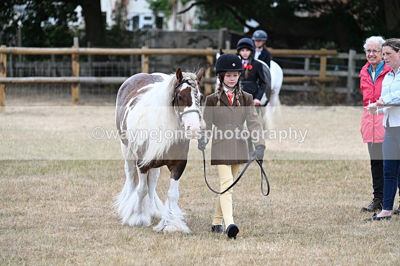 WJ7_8059 - Class 4 Prettiest Mare up to 14.2hh
