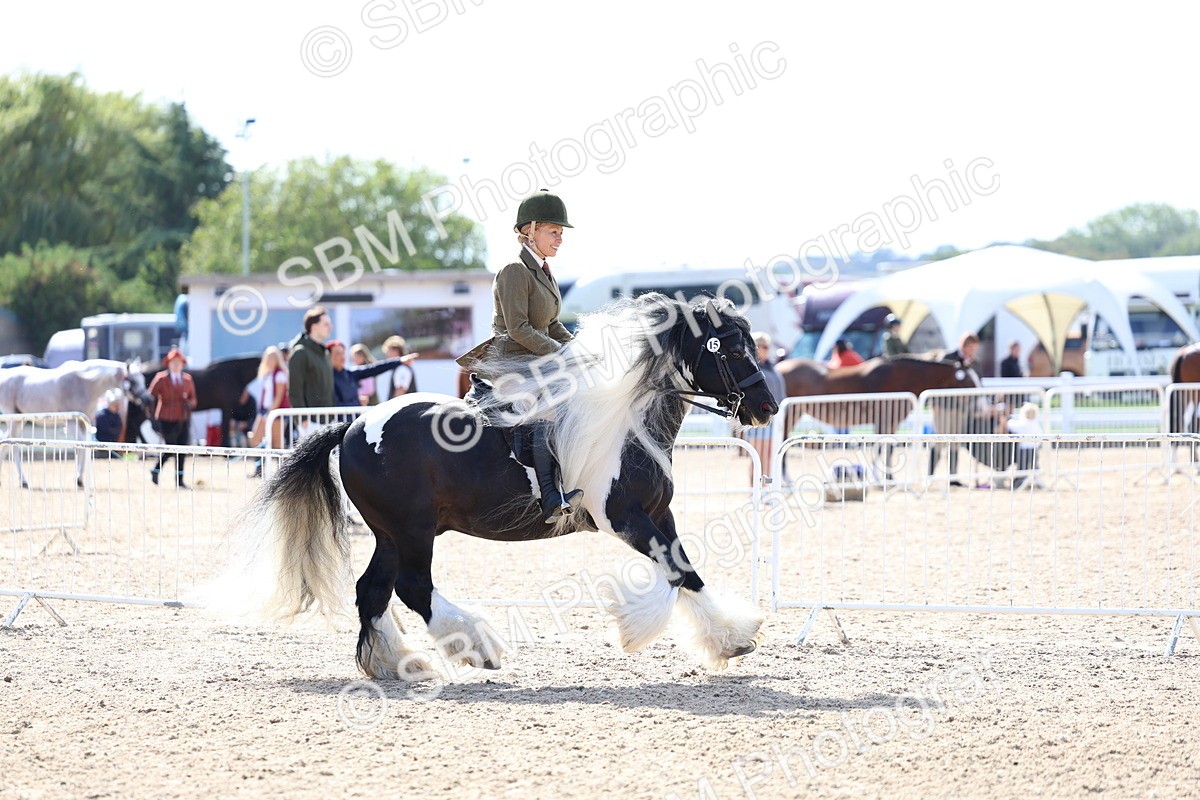 SBM_11371 - Class 307 - Ridden Coloured Pony