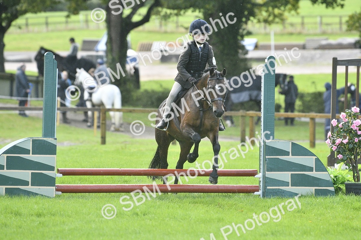 SBM_37170 - S31 - Novice & Newcomer Working Hunter Pony