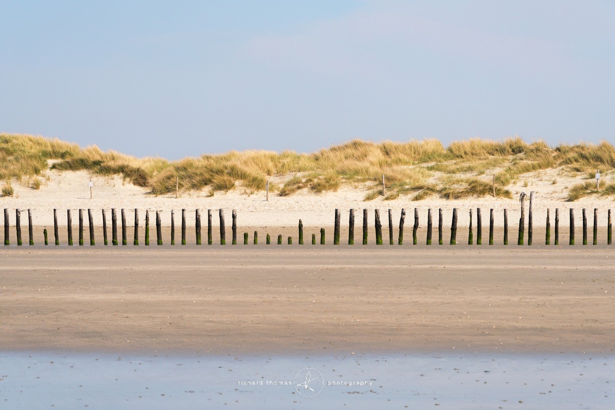Dune defenders - Seascapes