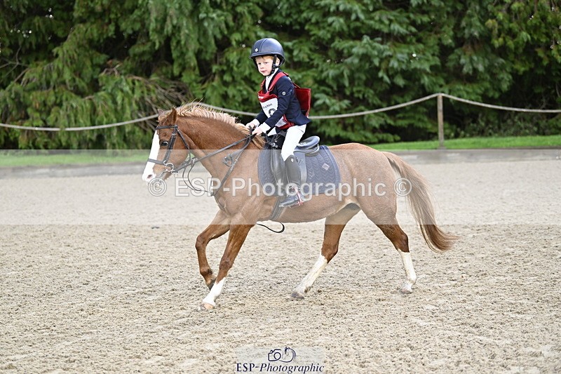 251005A-090819-02957 - Cls 02 GR 50cm