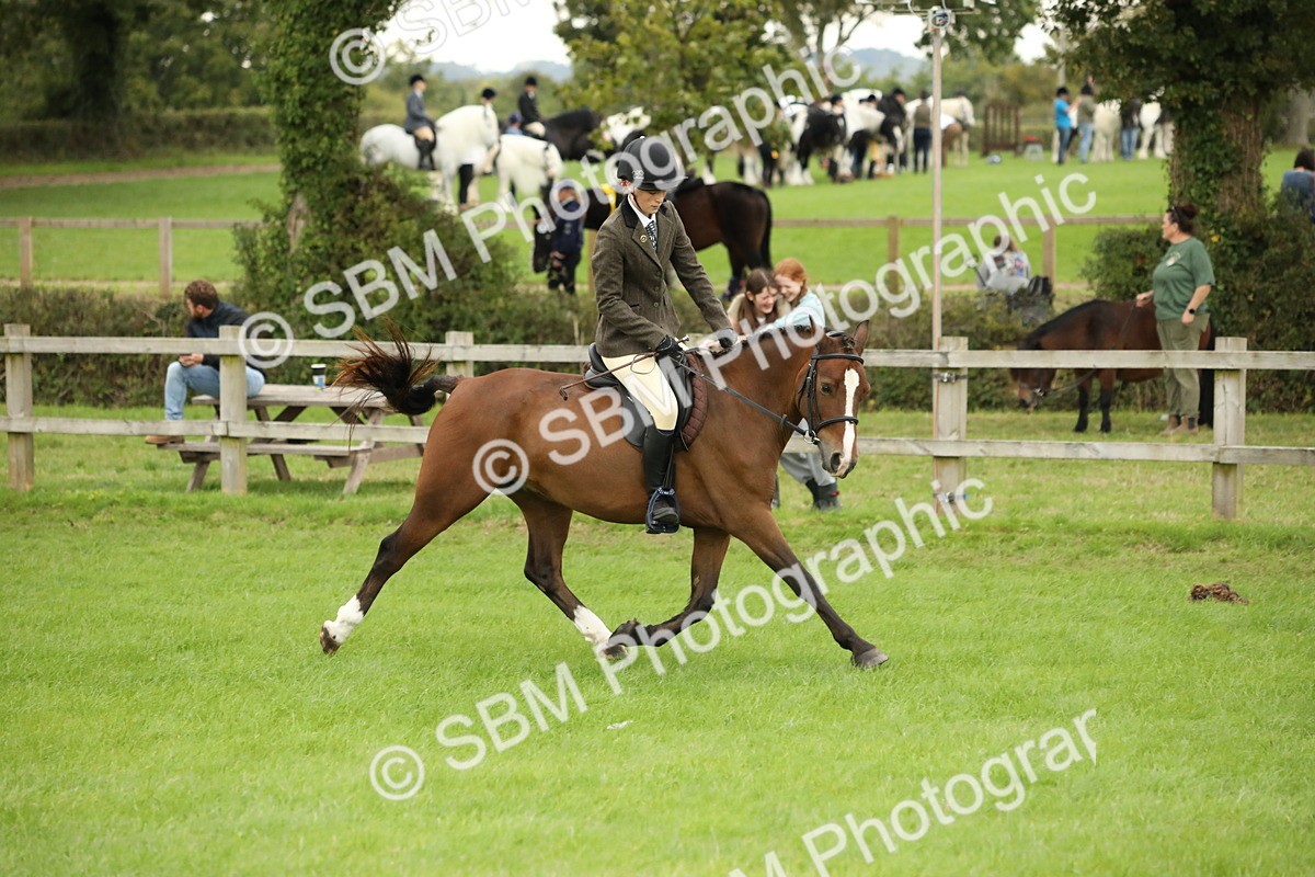 SBM_73753 - S41 - Ridden Equitation (Best Rider)
