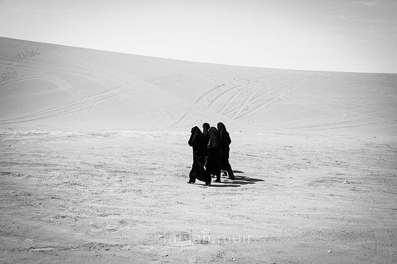 Fabian Muir Iran