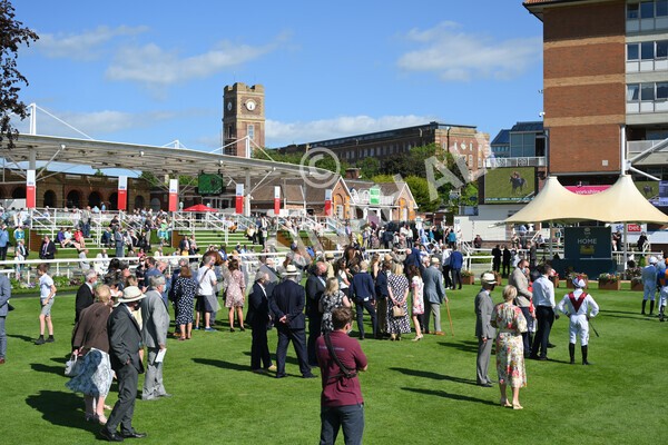  - Race 6 4.50pm The Ice Co supporting Macmillan Stakes