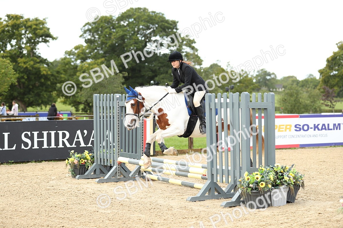 SBM_02031 - J34 - Veteran Rider 50cm
