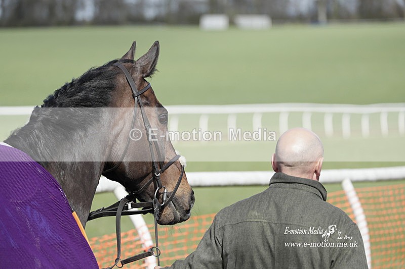 PtP 100423 800 - Old Berkshire Point-to-Point Lockinge 10/04/23