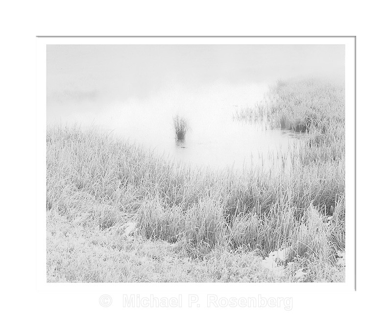 - Yellowstone and Grand Tetons