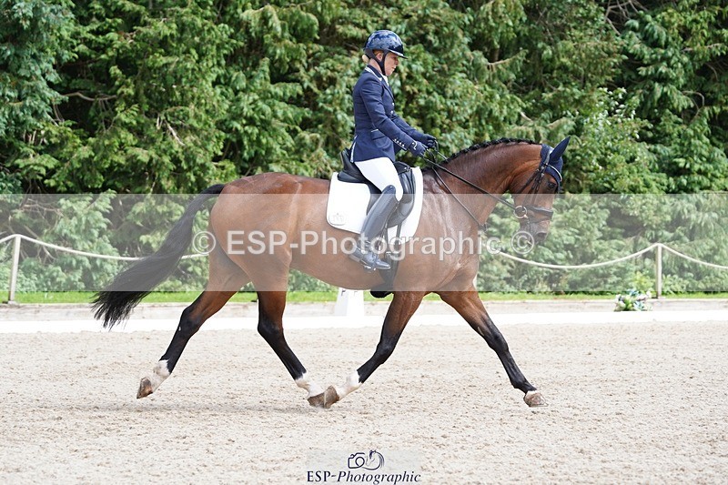 240721-151330-10020 - 195-Dawn_Bear-First_Taylor_Made