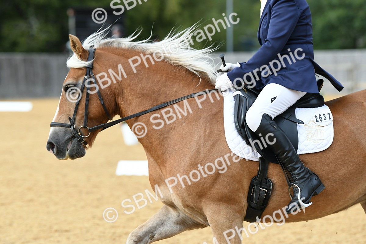 SBM_10906 - D28 Elementary Taster Elementary 42