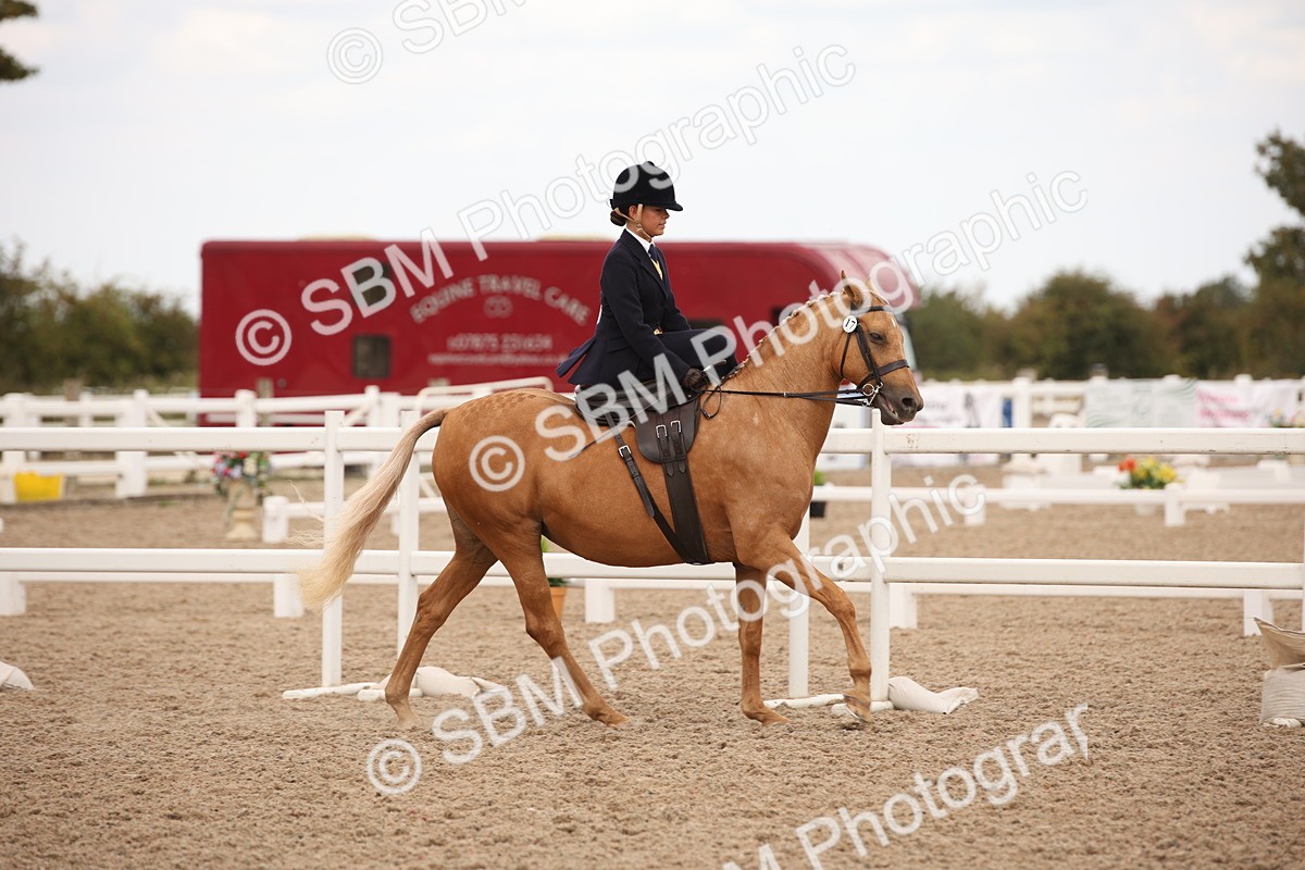 SBM_05327 - Class 22 SSA Equitation