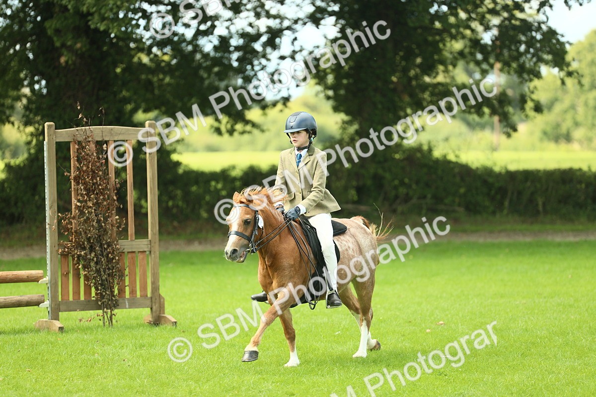 SBM_42737 - S30 - M&M Working hunter Pony