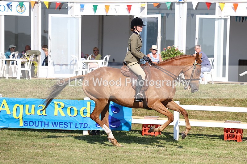 3E7A5551 - Class 2: Rising Star Large Hack/Riding Horse