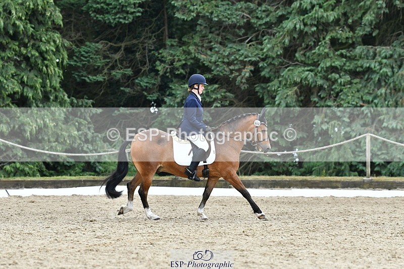 260801A-125903-04108 - Prelim Bronze Break - End