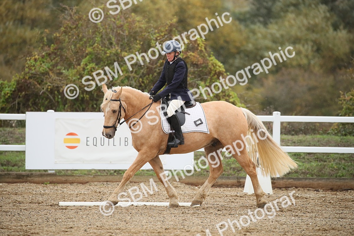 SBM_001127 - Prelim A-PYO