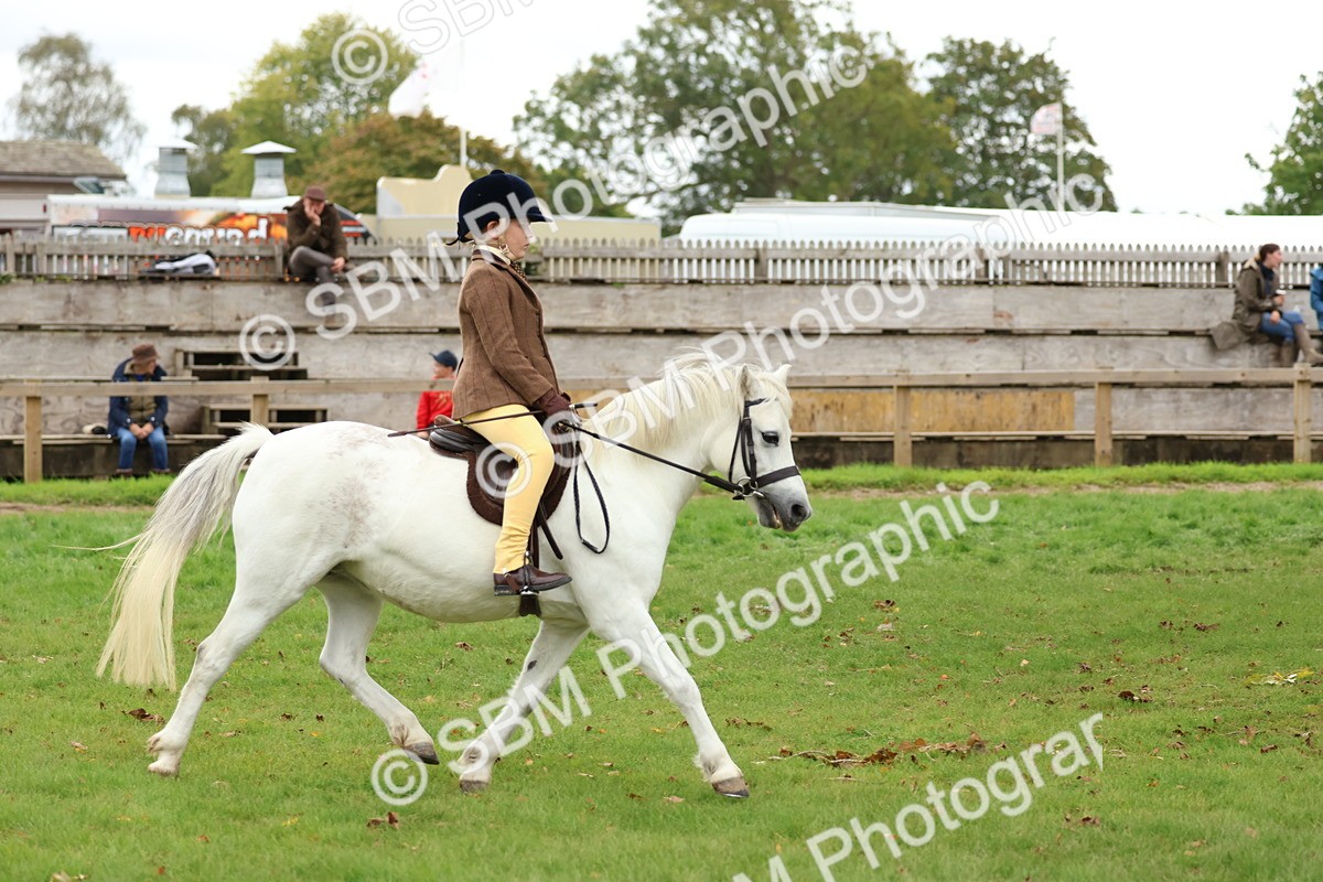 SBM_67438 - S61 - Mountain & Moorland Ridden