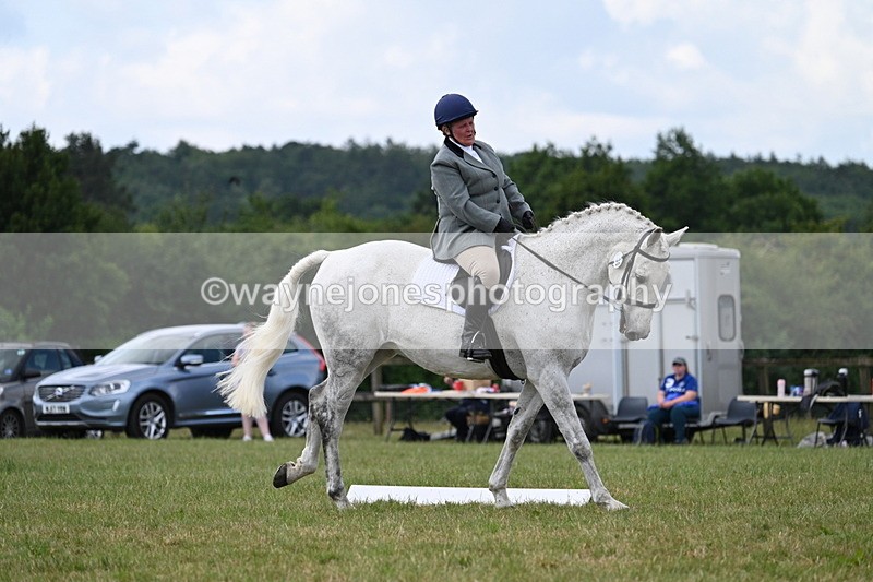 WJ7_5145 - Time 11:22 to 11:51