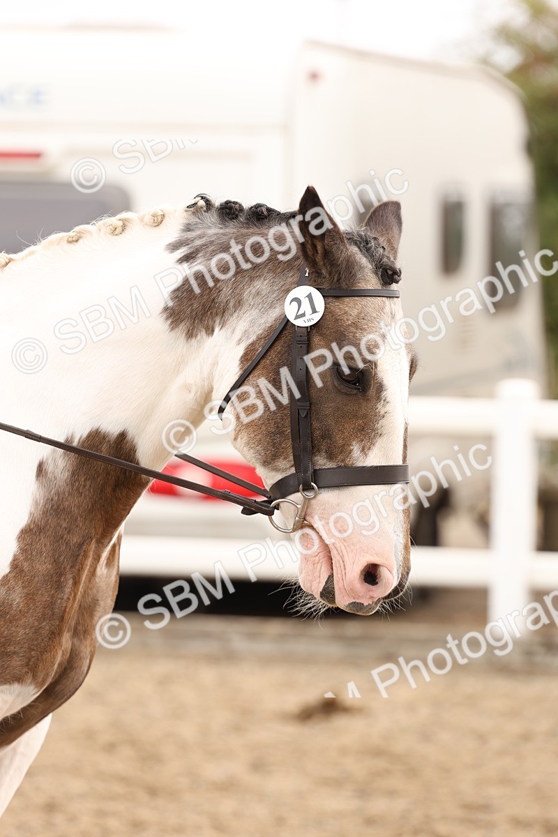 SBM_02881 - Class 53 - Ridden Competition Horse/Pony