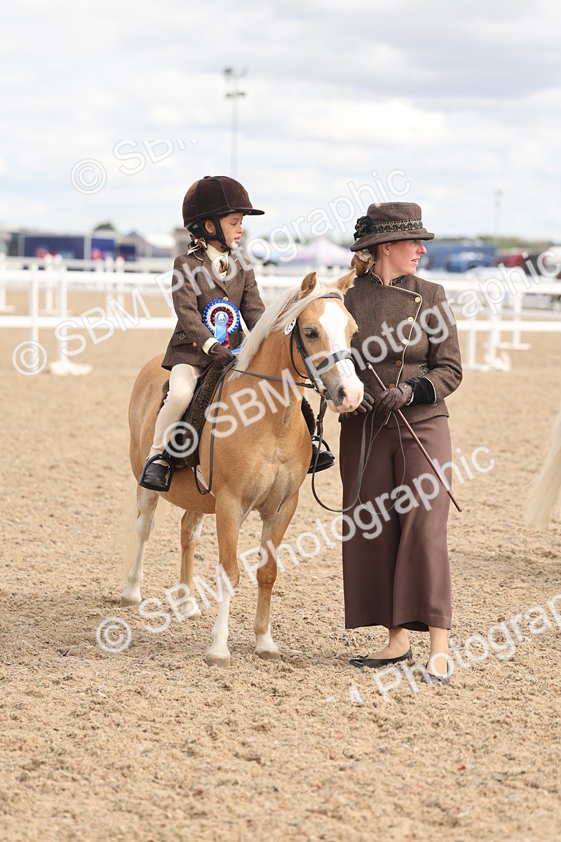 SBM_15837 - Class 309 - Lead Rein Pony