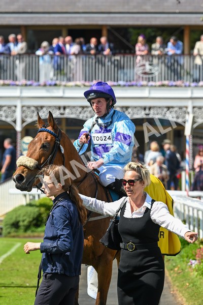 140525-Race 2-Rousing Encore-1951 - Race 2 2.42pm Churchill Tyres Handicap