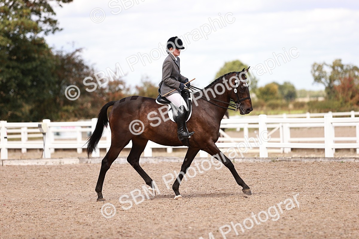 SBM_14458 - Class 410 - Grassroots Ridden - Horse