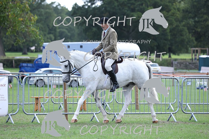 APP_4141 - Class 15a/b Pony club pony/Riding club horse