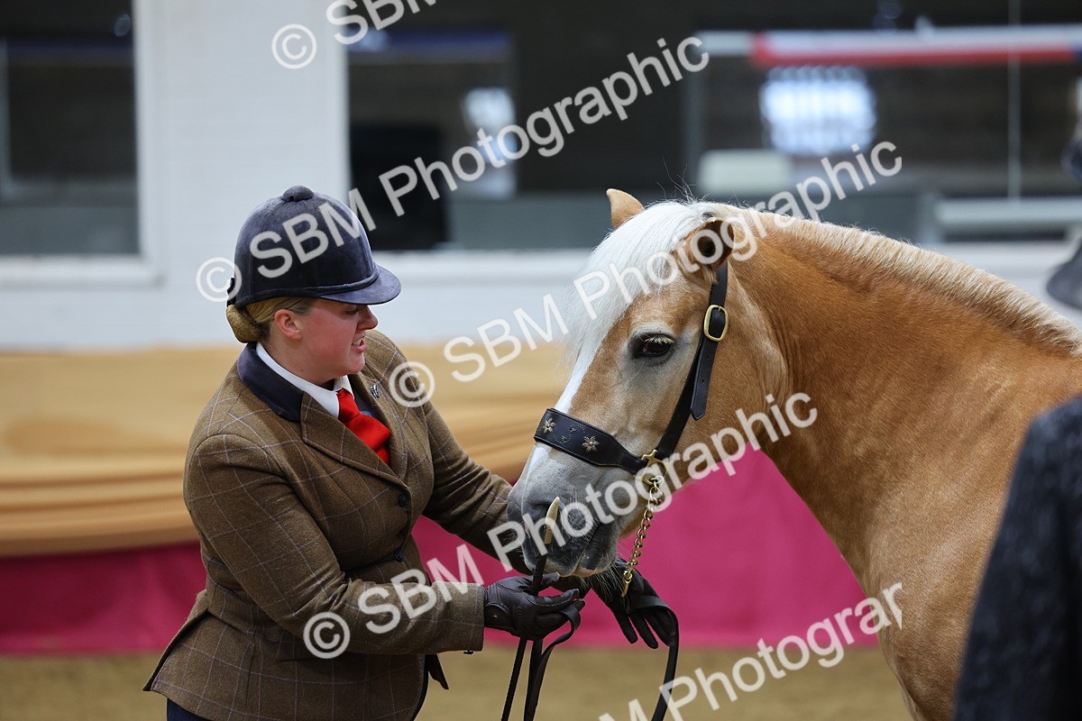 SBM_21075 - Class 902 - Supreme Final IH Veteran