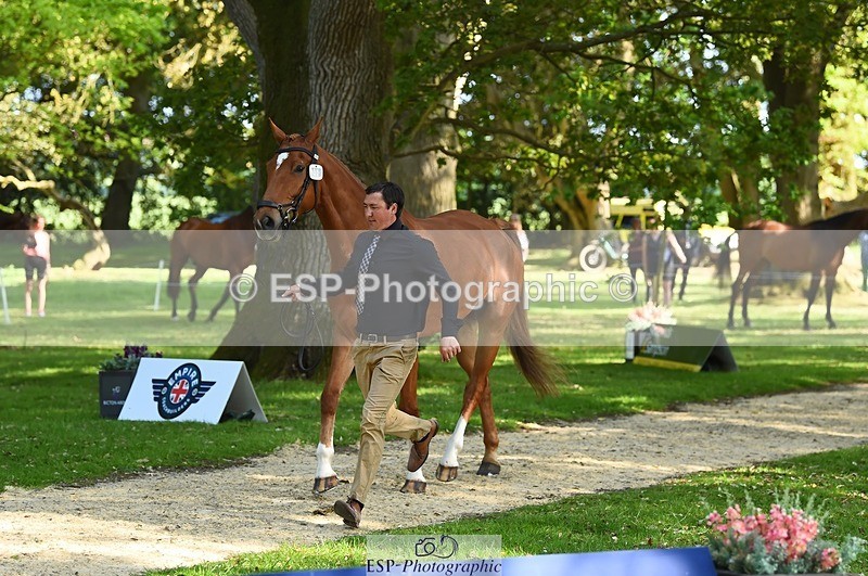 230524-164700-01081 - 111-CREEVAGHSTABLES_IFICUDIWUD-Tim_Cheffings-WEDTrotUp+DR