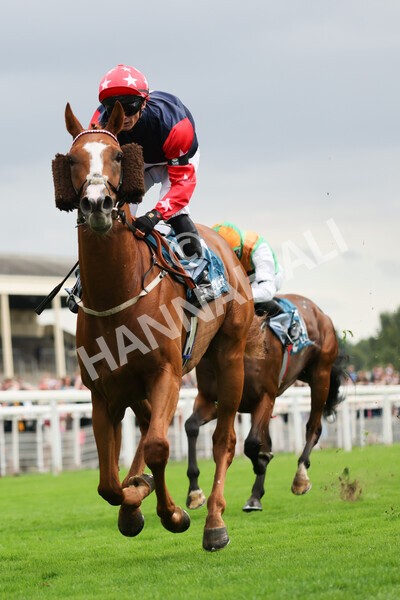 yr04092022r5-34 - Race 5 4.05pm Little Green Rascals Children's Nurseries Stakes