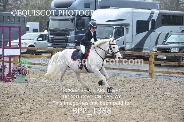 BPP_1388 - CLASS 5 Pony BritiNovice / 0.80m Open