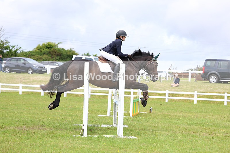 3E7A7200 - Class 13: Senior British Novice/90cm open