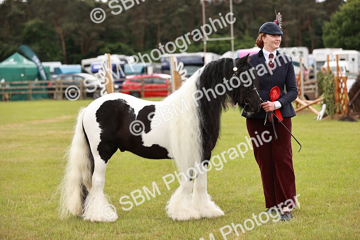 SBM_06009 - Class 39-41 TGCA In Hand and Ridden