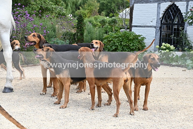 WJ6_3836 - Berks & Bucks - The Old farmhouse - Hound Exercise 20-08-25