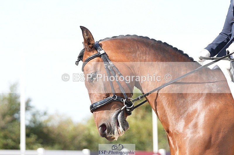 250906-143955-04035 - 050-Collette.WardJazz.XI