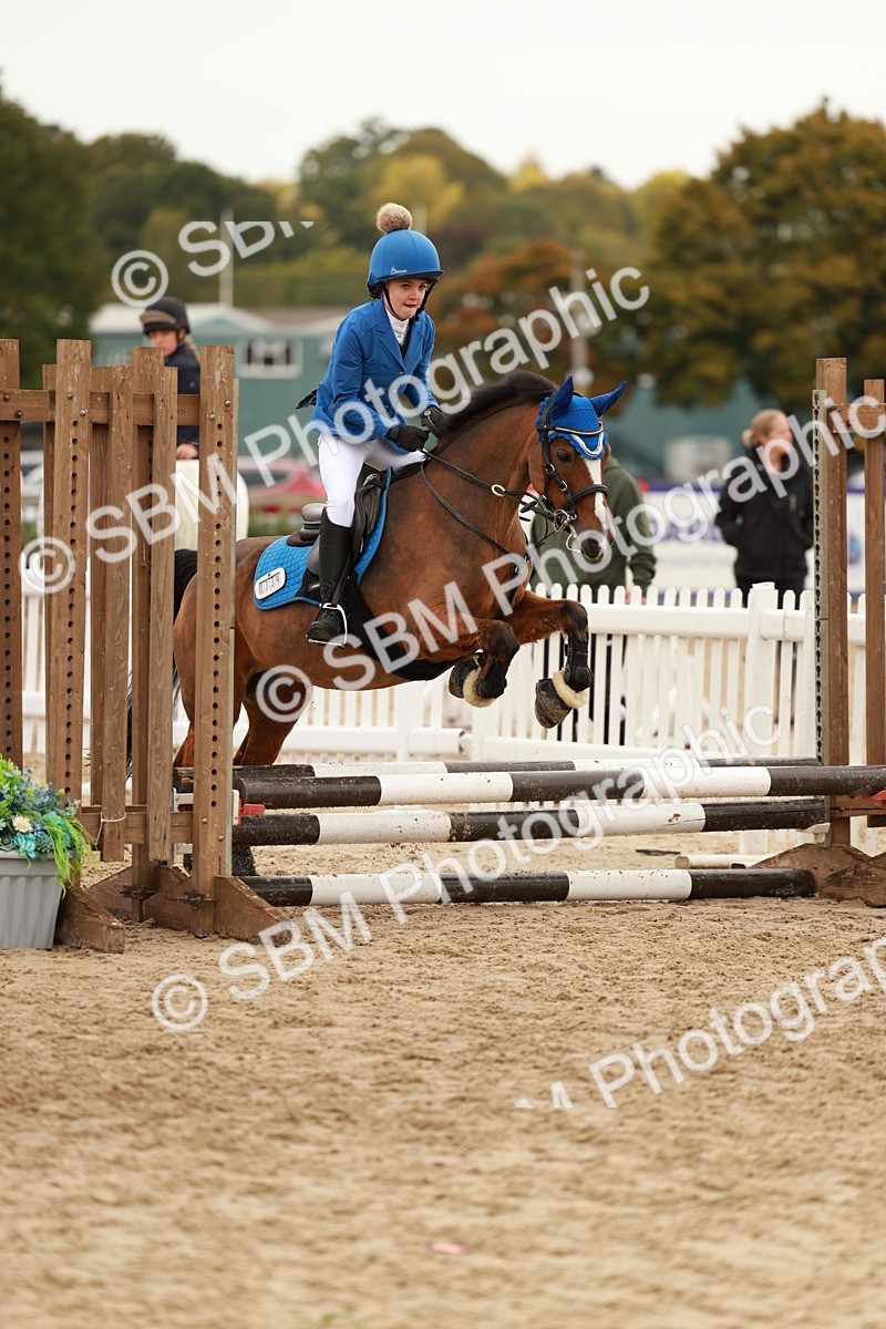SBM_57861 - J11 - Junior Pony 50cm Championship