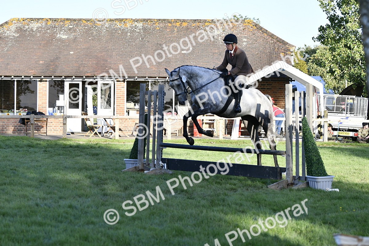 SBM_53546 - S14 - Riding Club Horse