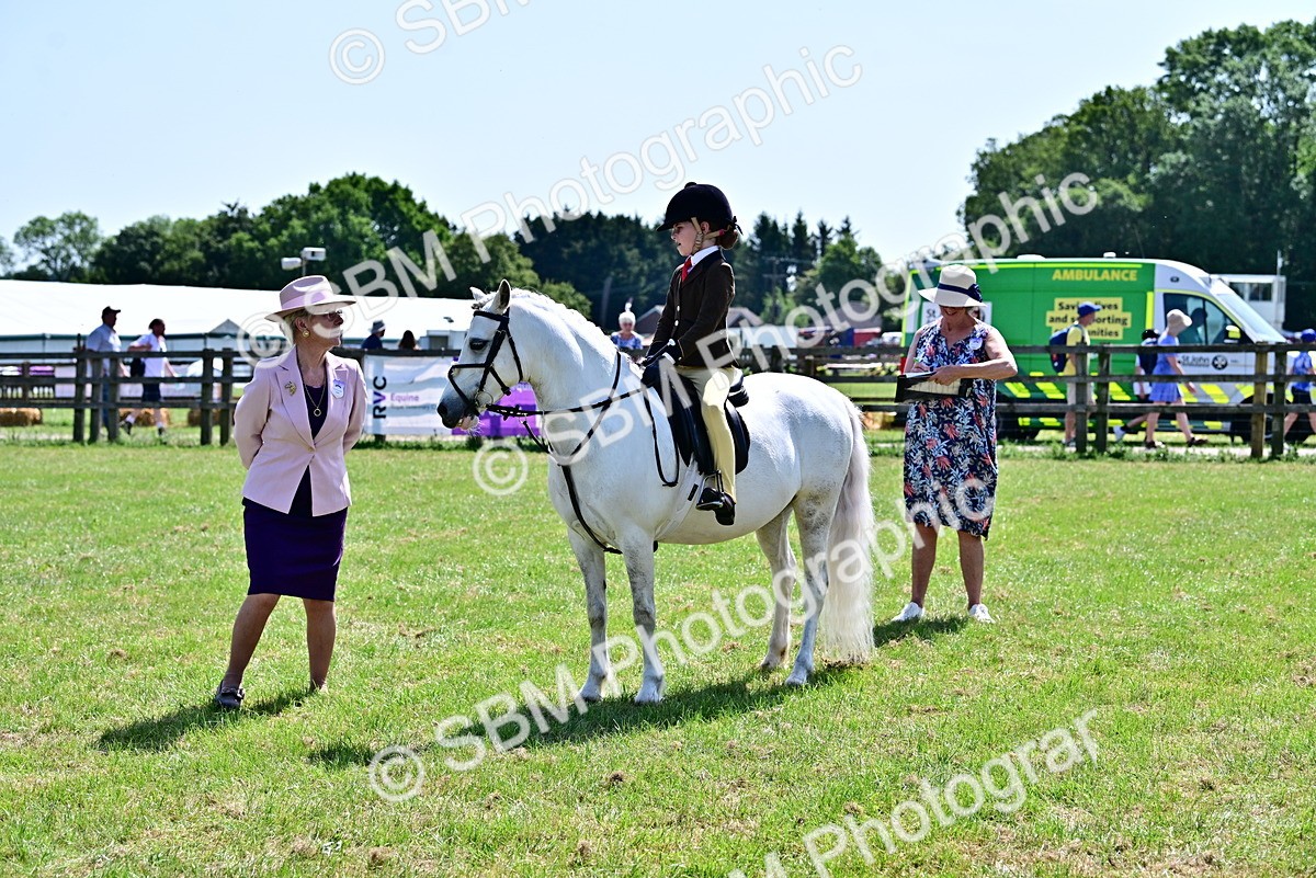 SBM_13973 - Class 95-97 - BSPS LHS Performance Ponies