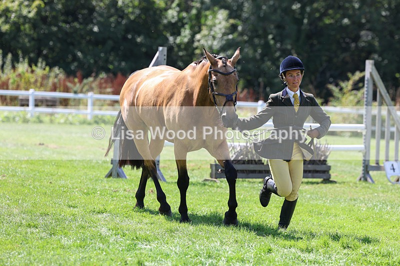 3E7A9078 - Class 6: Open Working Horse