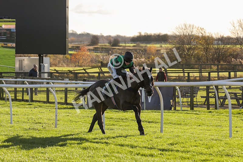 241123-Race 2-Latin Verse-0905 - Race 2