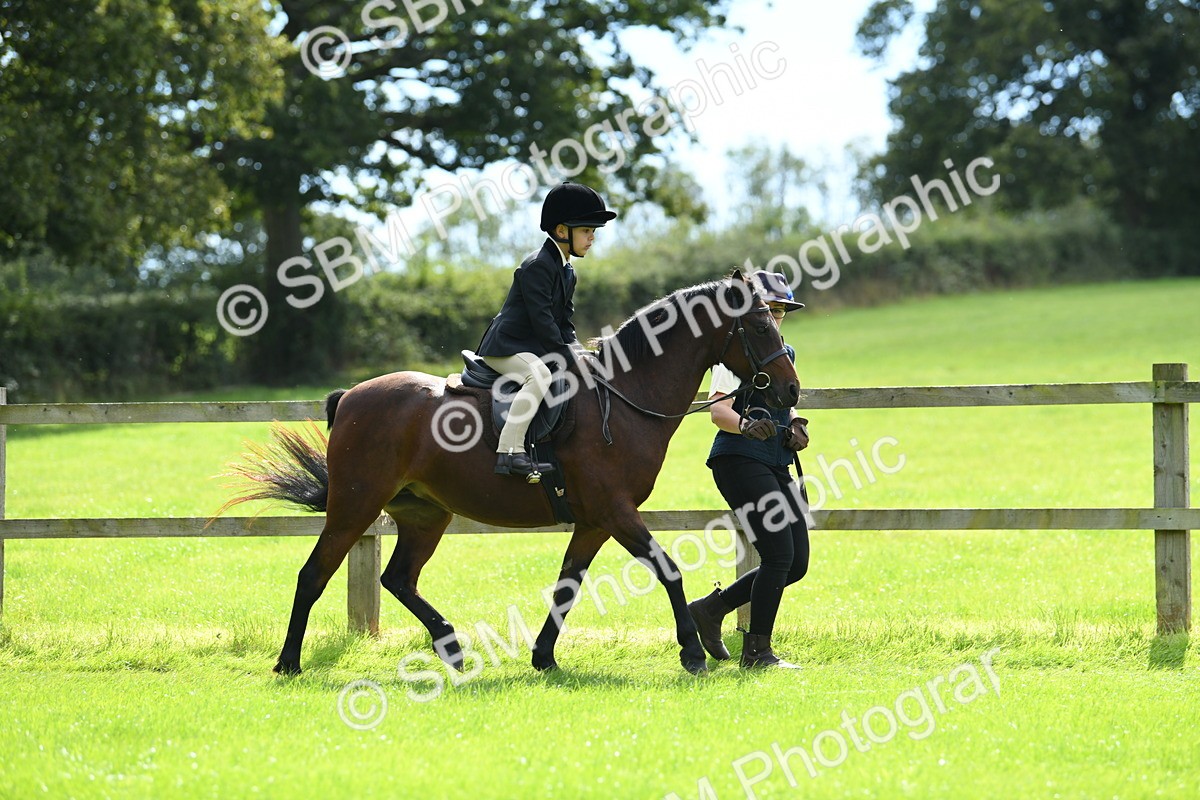 SBM_42534 - S20 - Lead Rein Mountain & Moorland Pony