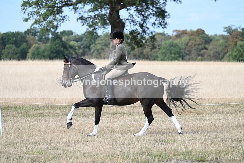 WJ7_7760 - Ridden Championship