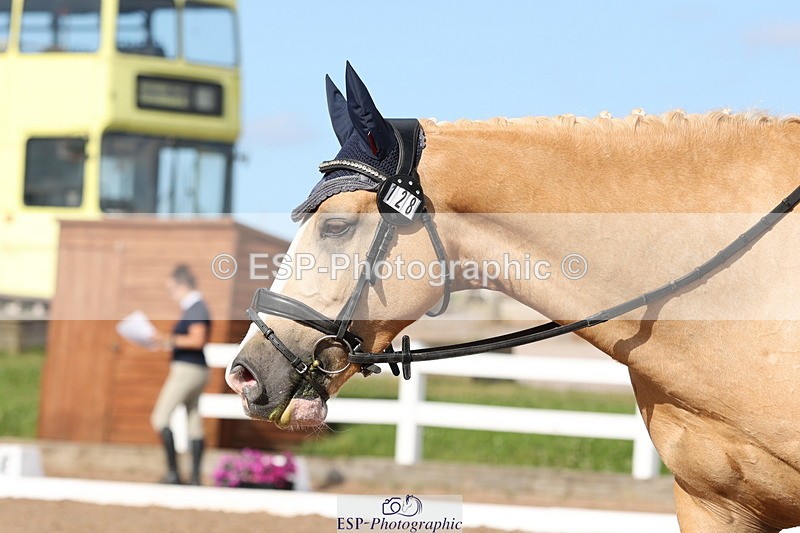 240622A-174232-15188 - Cls 21 Quest Novice 27