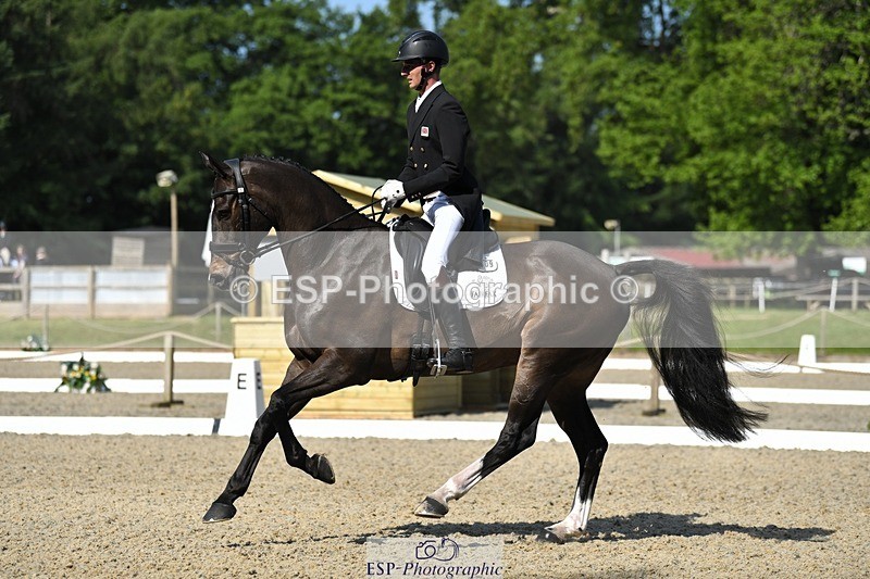 230525-094745-01667 - 309-PLOT_TWIST_B-Tom_Jackson-WEDTrotUp+DR