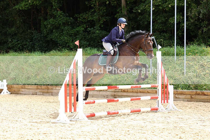 3E7A9938 - Class 9: Senior British Novice/90cm open