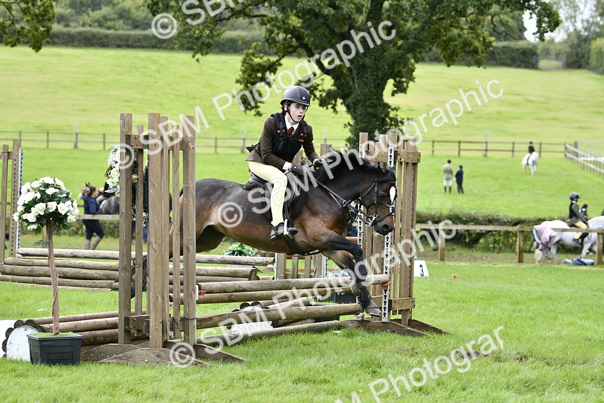 SBM_41267 - S32 - Mountain & Moorland Working Hunter Pony