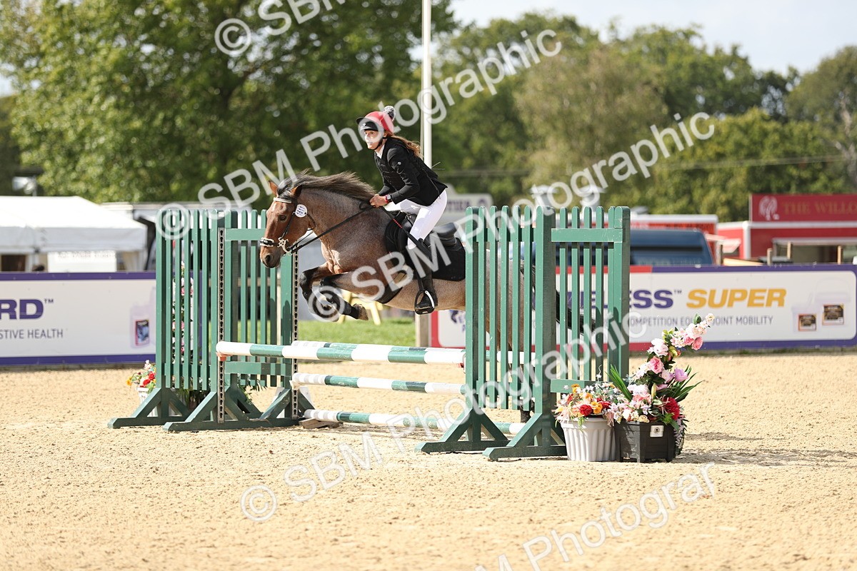 SBM_08431 - J30 - Senior Horse & Pony 70cm Championship
