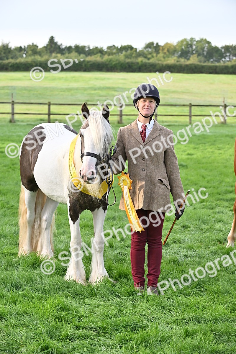 SBM_55372 - S44 - Youngstock In Hand